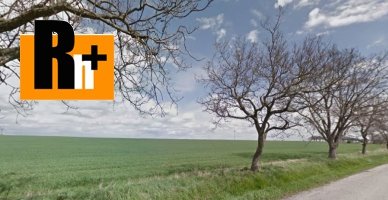 Pezinok Vištuk trvalý trávnatý porast na predaj - TOP ponuka