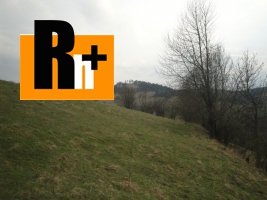 Lopušné Pažite na predaj trvalý trávnatý porast