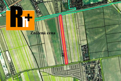 Orná pôda Senec na predaj - 27000m2