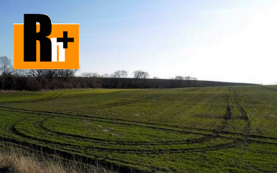 Poľnohospodárska pôda Veľké Dvorany na predaj - 42000m2