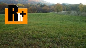 Repište Strožková trvalý trávnatý porast na predaj