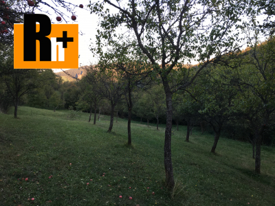 Veľké Rovné Bytča ovocné sady na predaj -