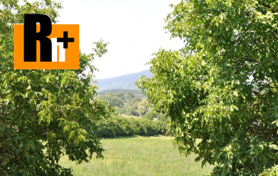 Bíňovce Bíňovce na predaj rodinný dom - znížená cena