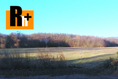 Pravenec trvalý trávnatý porast na predaj - 5390m2