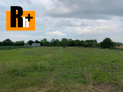 Dunajská Streda Blažov 3 km od DS pozemok pre bývanie na predaj - exkluzívne v Rh+