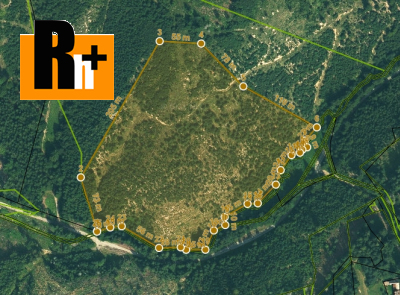Lesné pozemky na predaj Budiš - TOP ponuka