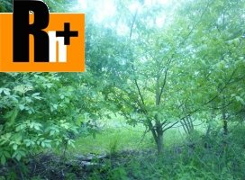 Rekreačný objekt na predaj Prašice