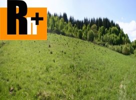 Hvozdnica na predaj trvalý trávnatý porast