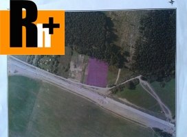 Na predaj Kysucké Nové Mesto trvalý trávnatý porast