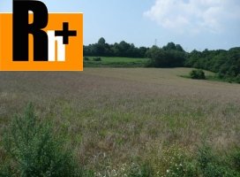 Na predaj orná pôda Kolárovice kolárovice - znížená cena