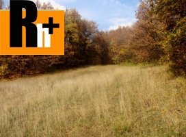 Trvalý trávnatý porast na predaj Bojnice - 1250m2