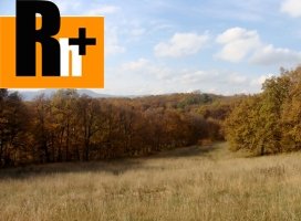 Bojnice na predaj trvalý trávnatý porast - 2399m2