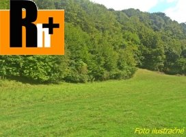 Orná pôda Moravany nad Váhom Sriebrenica na predaj