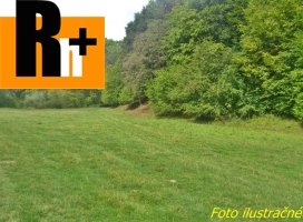 Orná pôda Moravany nad Váhom na predaj - exkluzívne v Rh+