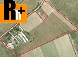 Na predaj Trnava Galanta poľnohospodárke objekty - 208000m2
