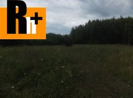 Poľnohospodárska pôda na predaj Vranov nad Topľou RO Domaša- Dobrá