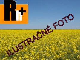Poľnohospodárska pôda Senec na predaj - 100000m2