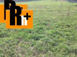 Trvalý trávnatý porast Rudinka na predaj